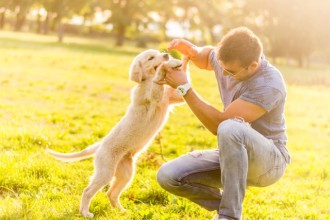 Comment éduquer mon chien de manière positive ?
