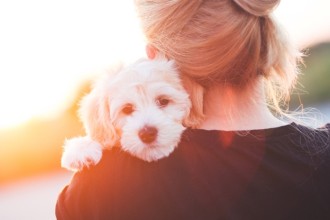Comment gérer la séparation avec votre chien ?