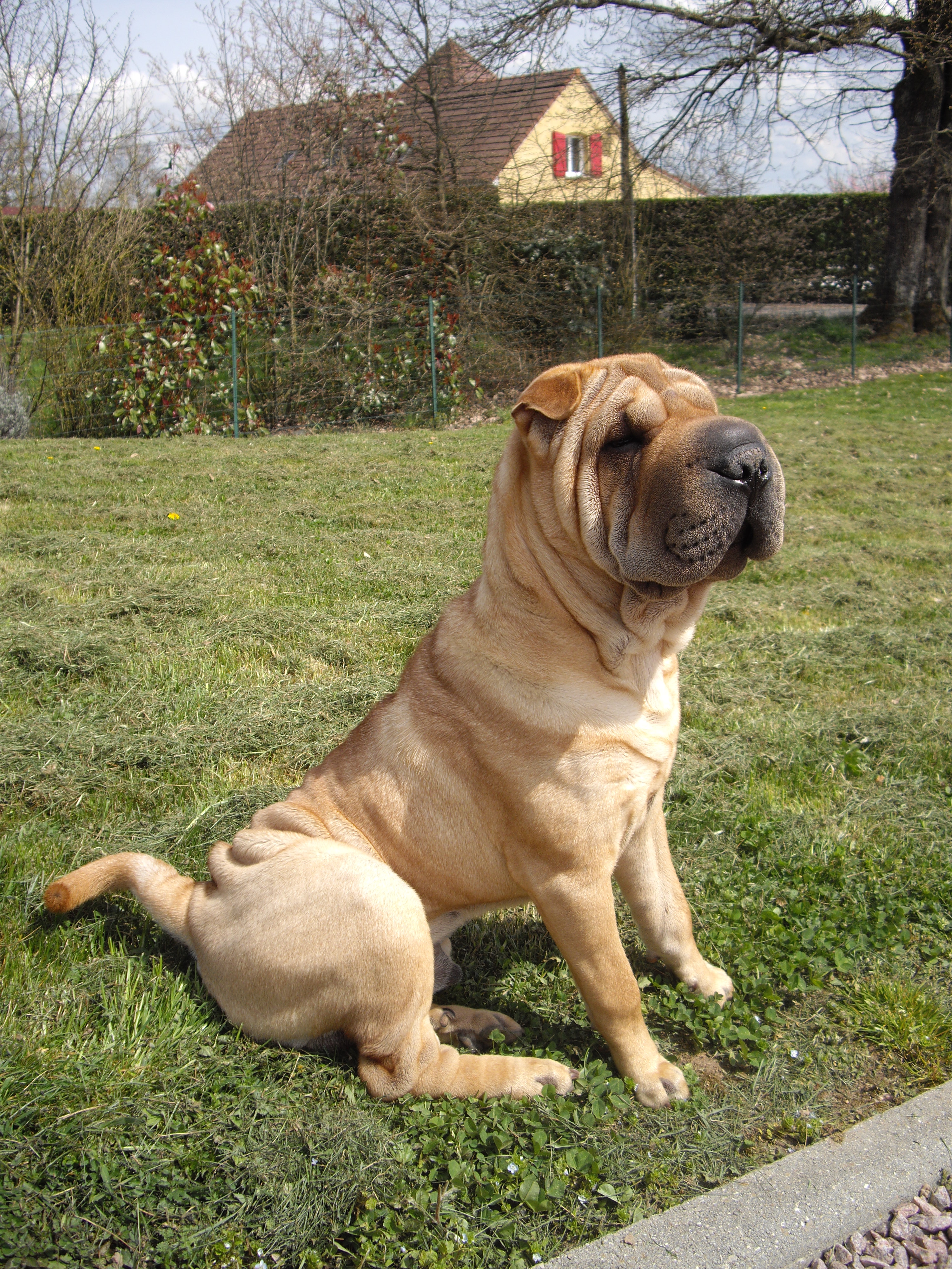 Rencontre pei