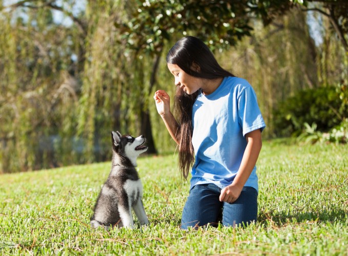 Éduquer son chien selon la méthode de renforcement positif Éduquer son chien selon la méthode de renforcement positif