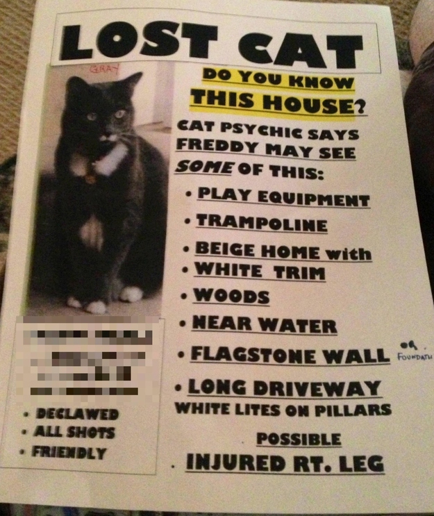 lost cat flyer