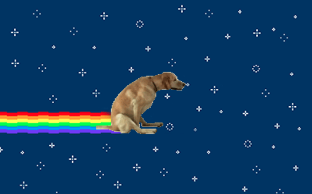 Nyan Dog - Yummypets