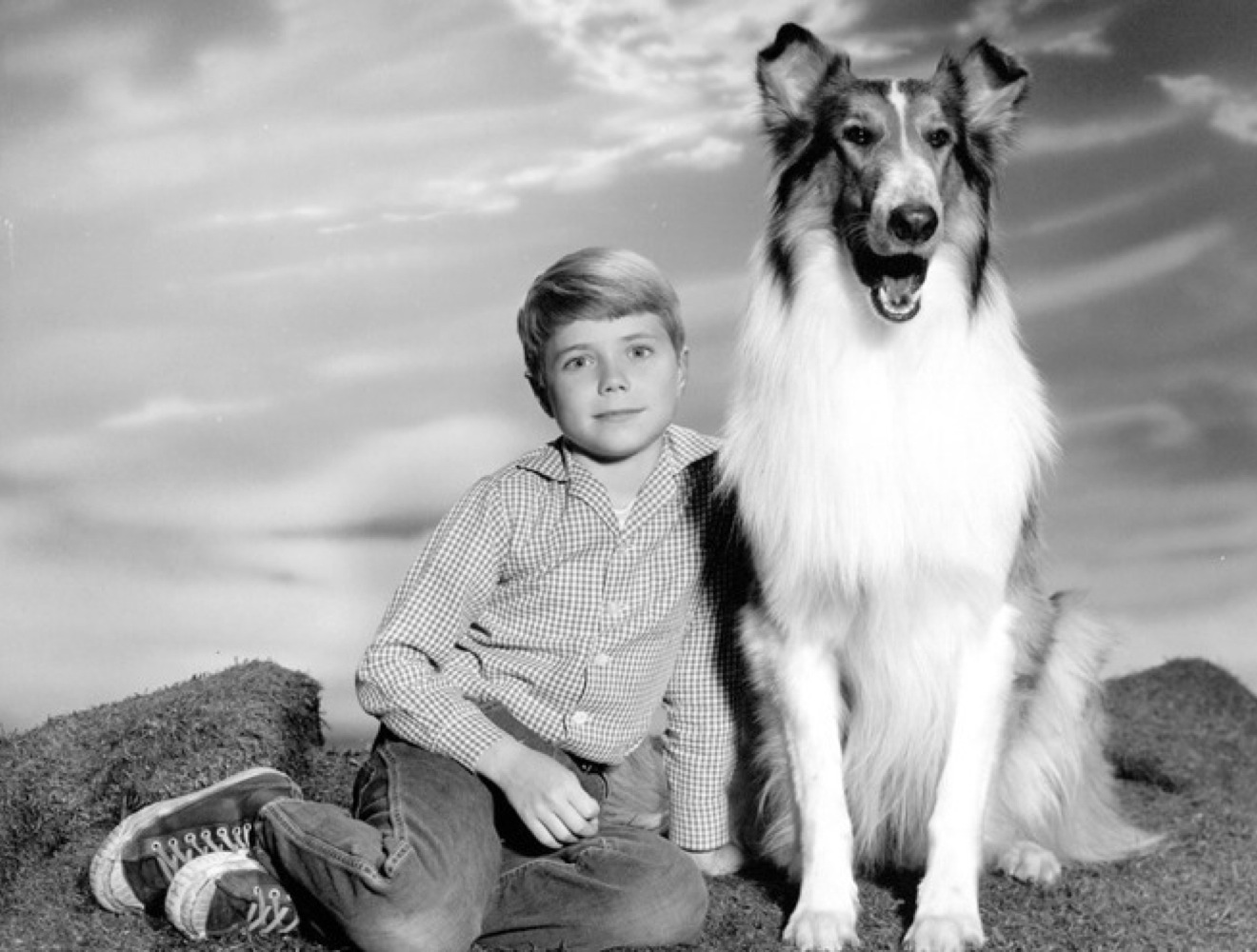 le-chien-et-le-cin-ma-toute-une-histoire-yummypets