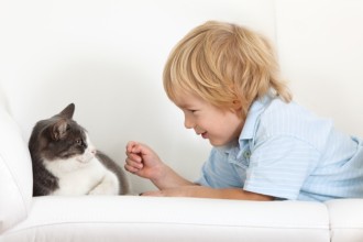 Enfant et chat : à chacun son espace !