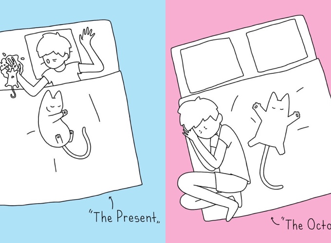 cat position