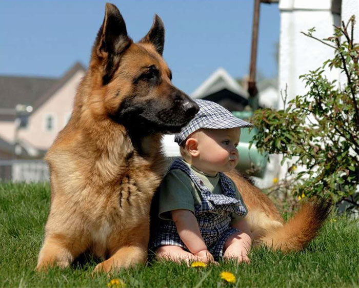 blog_yummypets_votre_enfant_a_besoin_dun_chien_13_12_2015