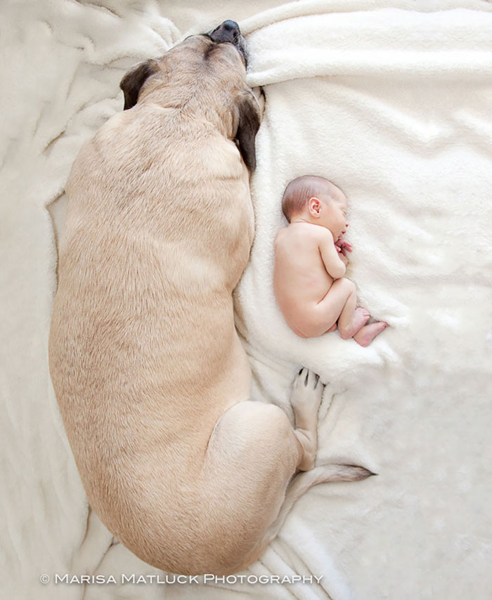 blog_yummypets_votre_enfant_a_besoin_dun_chien_14_12_2015