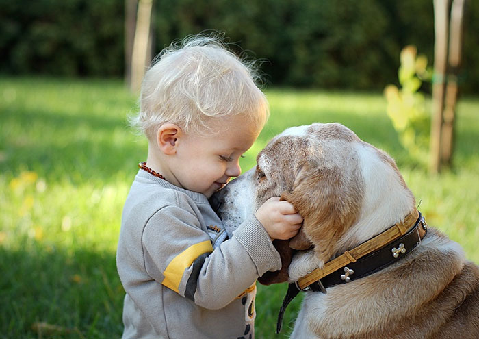 blog_yummypets_votre_enfant_a_besoin_dun_chien_16_12_2015