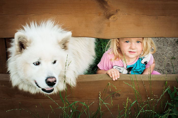 blog_yummypets_votre_enfant_a_besoin_dun_chien_17_12_2015