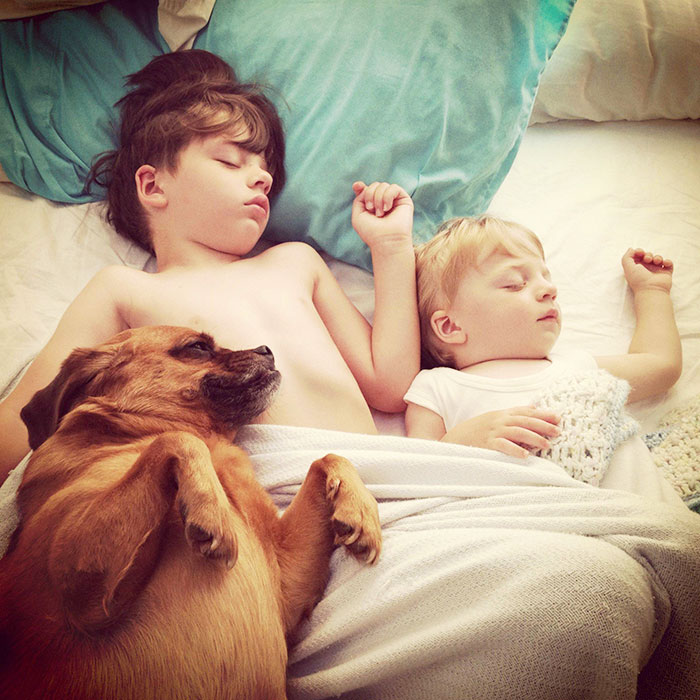blog_yummypets_votre_enfant_a_besoin_dun_chien_18_12_2015