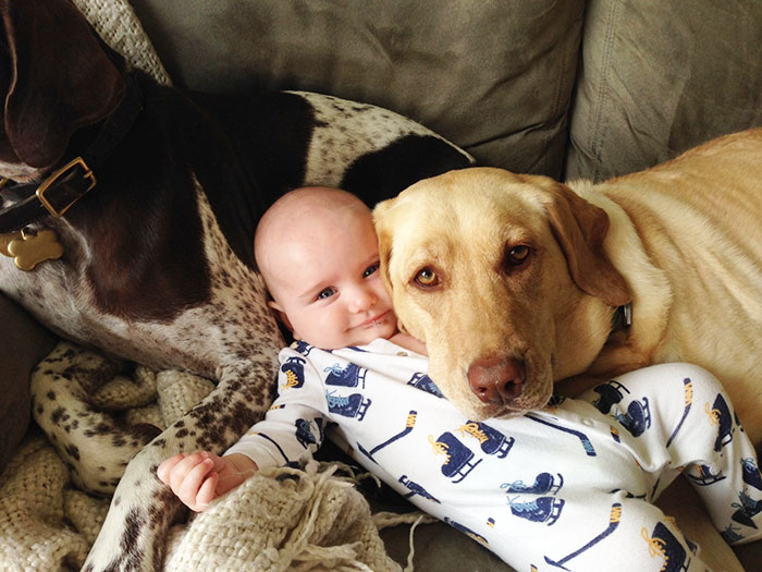 blog_yummypets_votre_enfant_a_besoin_dun_chien_19_12_2015