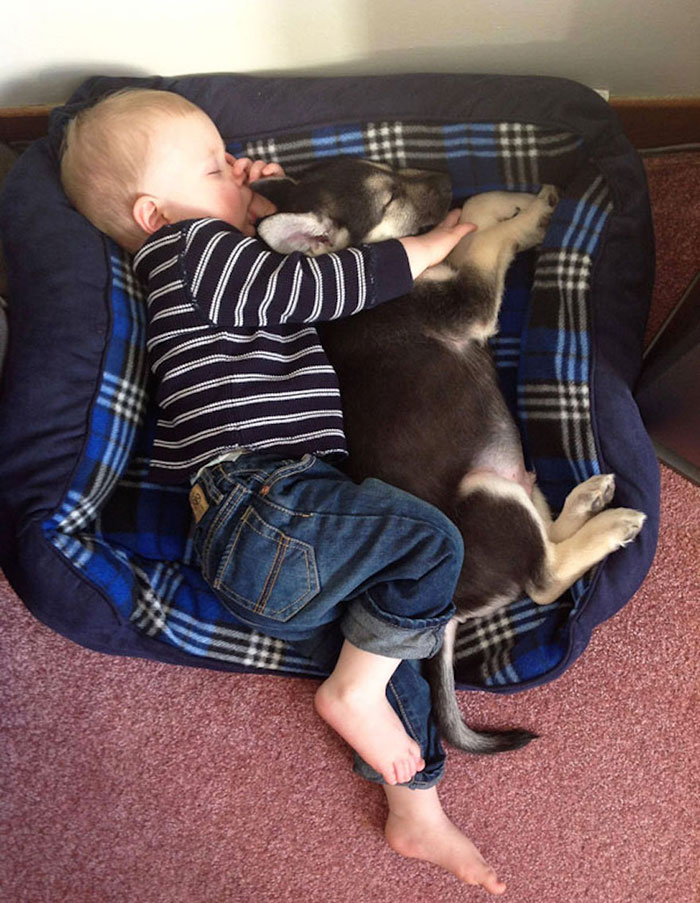 blog_yummypets_votre_enfant_a_besoin_dun_chien_1_12_2015