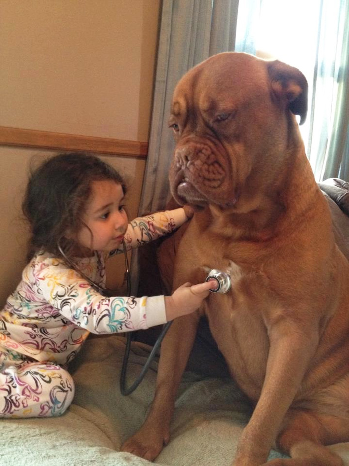 blog_yummypets_votre_enfant_a_besoin_dun_chien_2_12_2015