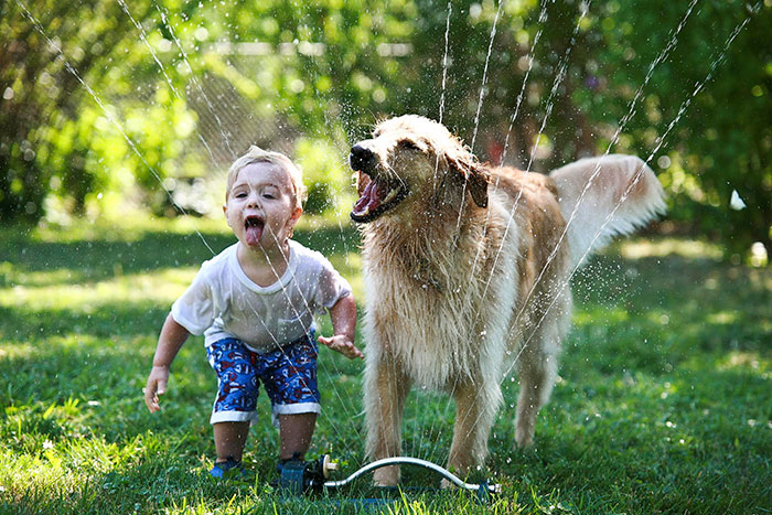 blog_yummypets_votre_enfant_a_besoin_dun_chien_3_12_2015