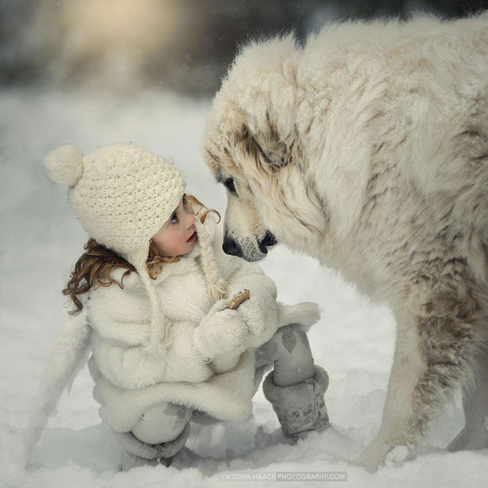 blog_yummypets_votre_enfant_a_besoin_dun_chien_6_12_2015