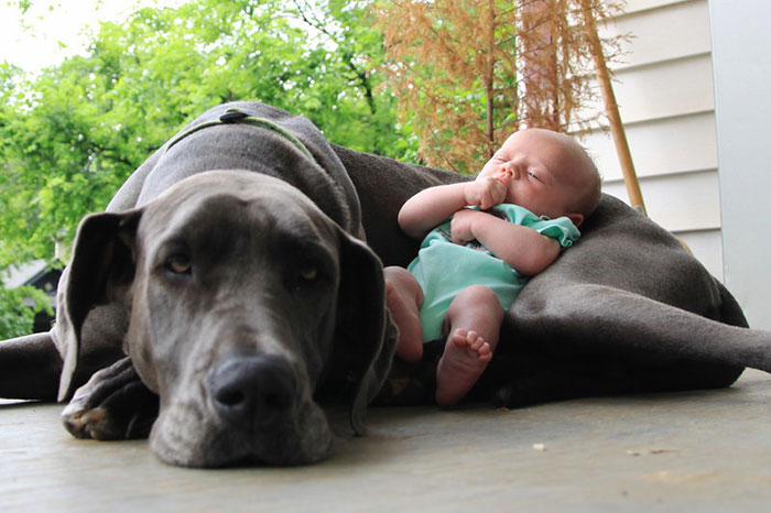 blog_yummypets_votre_enfant_a_besoin_dun_chien_7_12_2015