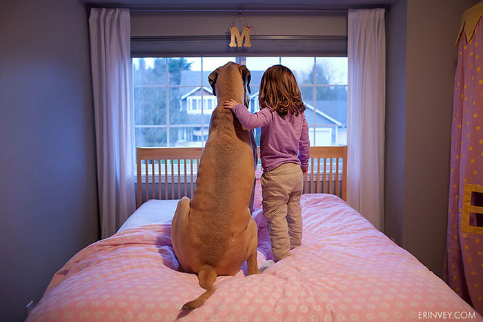 blog_yummypets_votre_enfant_a_besoin_dun_chien_9_12_2015