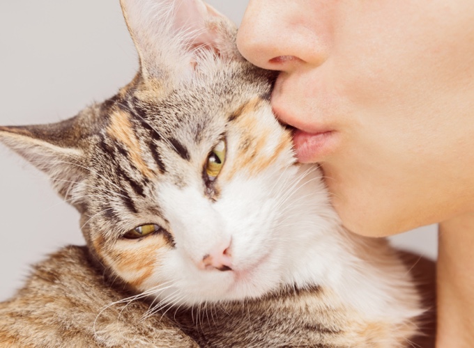 Are cats keen on kisses?