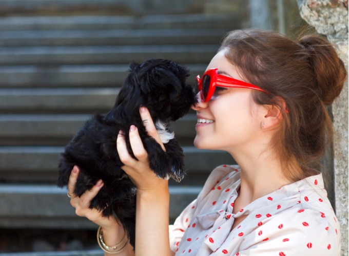 3 compañías te dan días libres cuando adoptas un cachorro - Yummypets