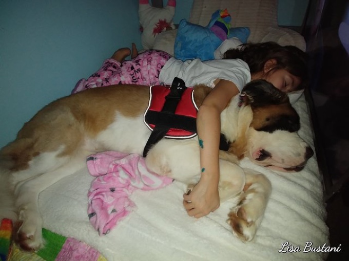 chienne d'assistance et petite fille malvoyante