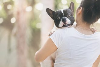 Pourquoi mon chien me saute dessus ?