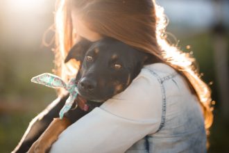 La jalousie chez les animaux : mythe ou réalité ?